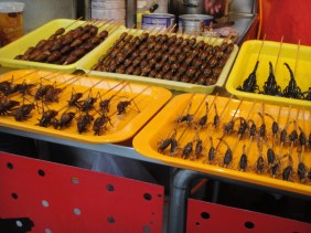 Skewered Insects