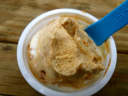 tumblr_m699crHSWU1rtdf58o1_500