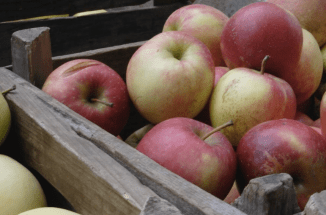 Screen Shot 2014-11-23 at 2.06.12 PM