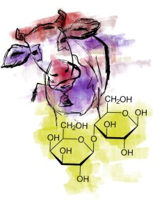 Illustration by Allison Scott